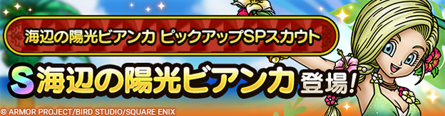 海辺の陽光ビアンカ ピックアップSPスカウト登場！