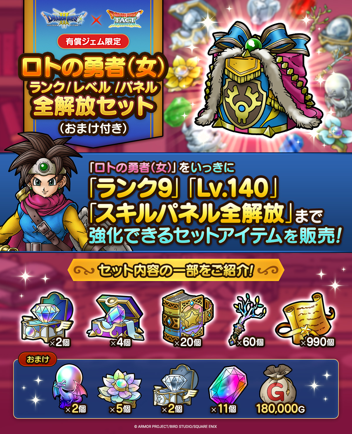 ロトの勇者（女） ランク/レベル/パネル全解放セット（おまけ付き）販売中！
