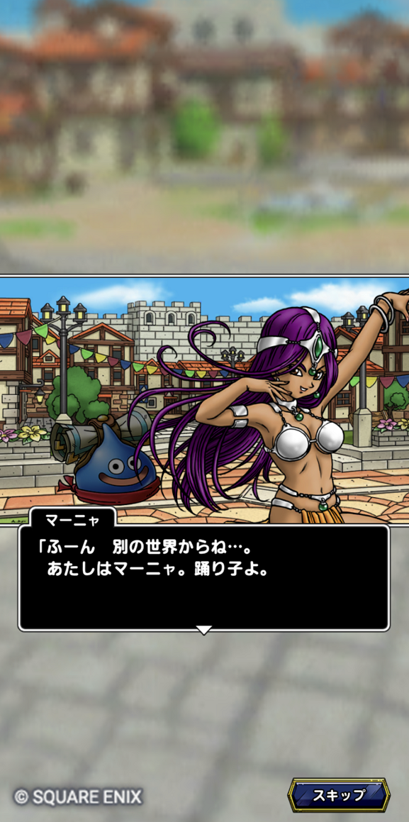 真・DQIVクエストスキット