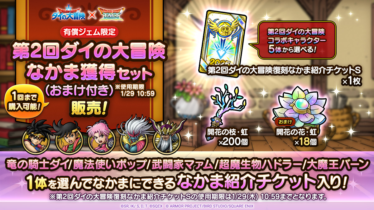 第2回ダイの大冒険なかま獲得セット（おまけ付き）※使用期限1/29 10:59
