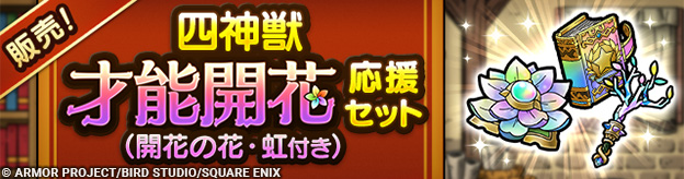 四神獣才能開花応援セット（開花の花・虹付き）