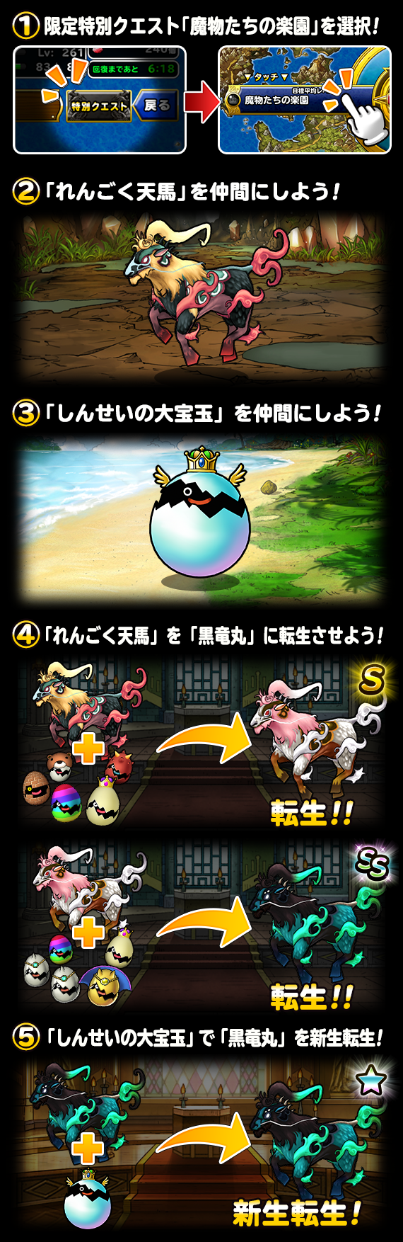 DQMワンダーランド「魔物たちの楽園」開催！ | ドラゴンクエスト